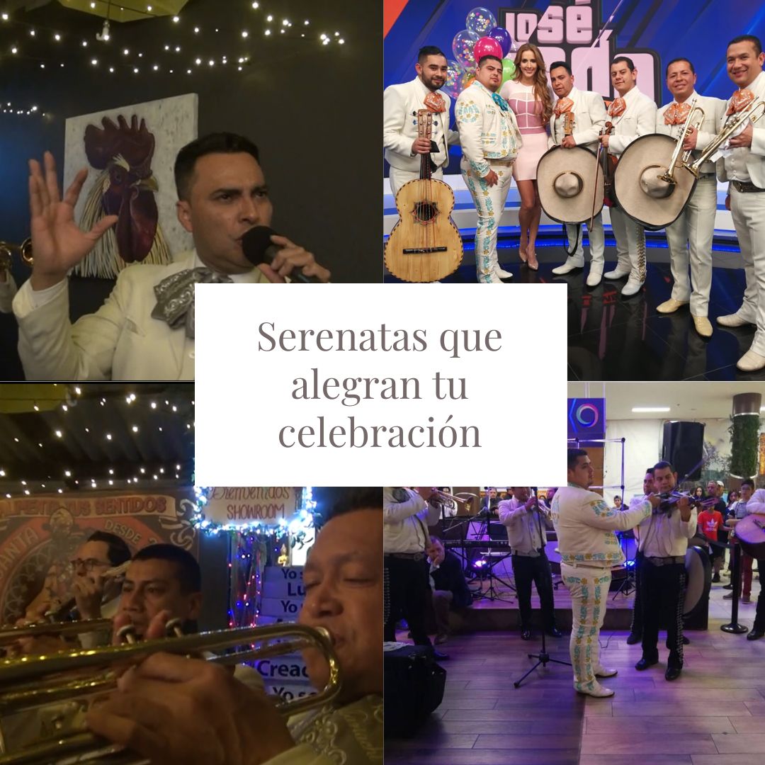Mariachi Vargas de Bogotá: Serenata en Chía Mariachis en Chía Cundinamarca